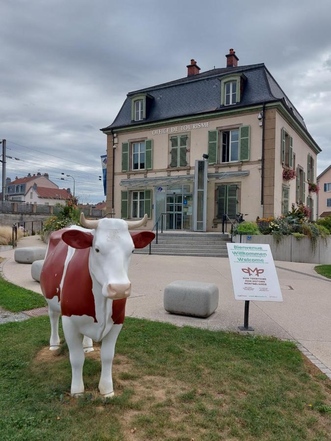 Appart' Duchatelain Lumineux, Vue Sur Chateau Montbéliard Buitenkant foto